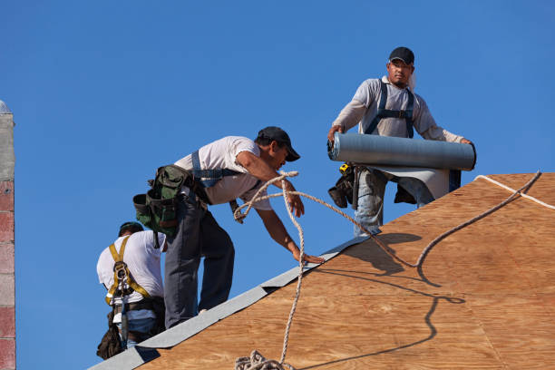 Best Roof Gutter Cleaning  in Wellsville, OH